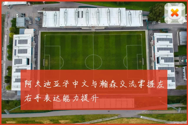 阿夫迪亚学中文与瀚森交流掌握左右手表达能力提升